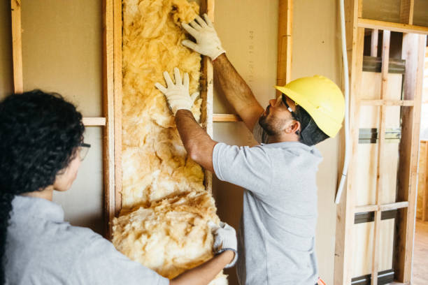 Best Basement Insulation  in Hollymead, VA