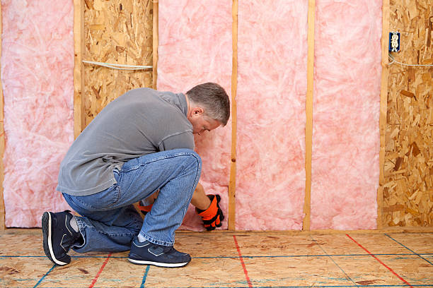 Types of Insulation We Offer in Hollymead, VA